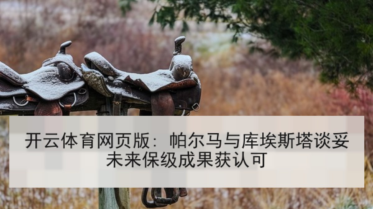 开云体育网页版: 帕尔马与库埃斯塔谈妥未来保级成果获认可